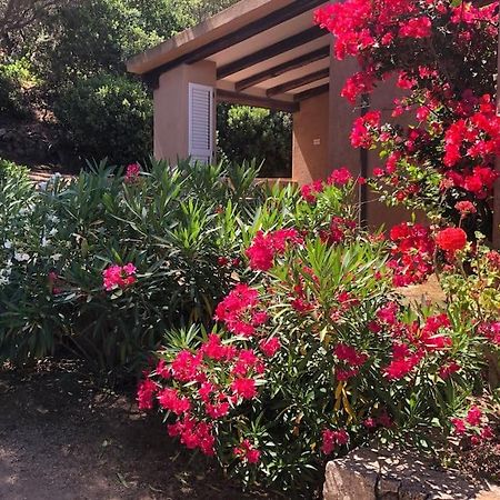 הוילה פאלאו Acqua & Sale Casa Stazzo מראה חיצוני תמונה