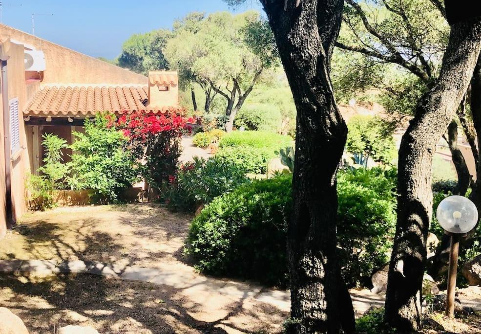 הוילה פאלאו Acqua & Sale Casa Stazzo מראה חיצוני תמונה