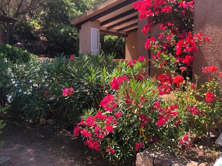 הוילה פאלאו Acqua & Sale Casa Stazzo מראה חיצוני תמונה